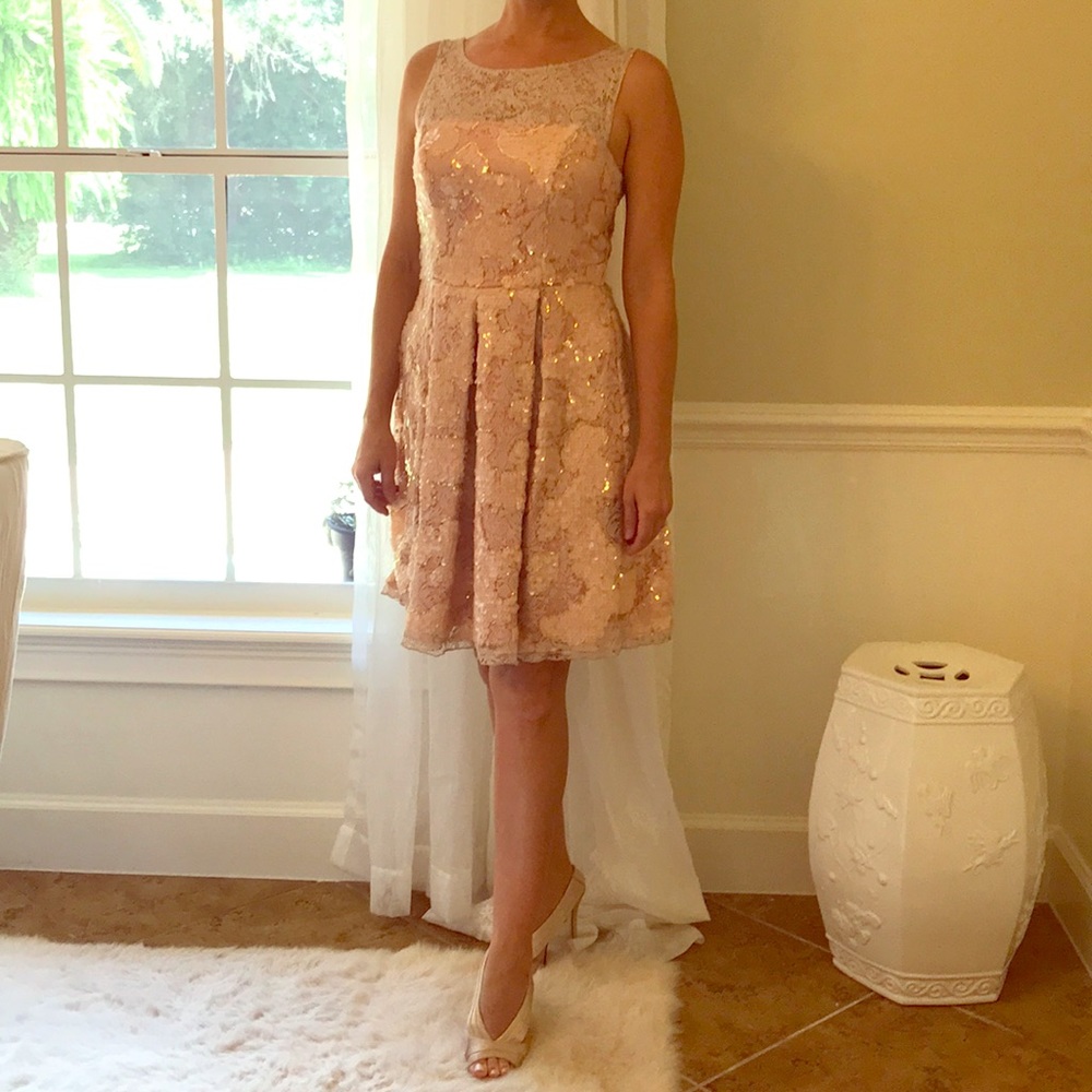 Eva Franco Anthropology “Sugarberry” Sequin Dress